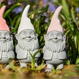 The Gnome